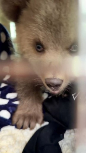 � ������ ��������� ���������� � �������� ������ ���������� ������, �������� � ����� "����� ������"