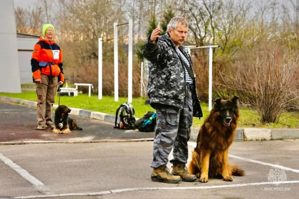 ���������� �������������� ��������