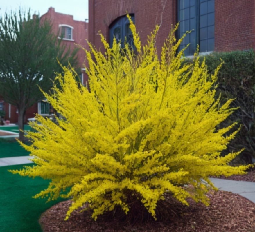 ���������� ��� ������ ����: 3 ����������� �������� ��� �������� ���������