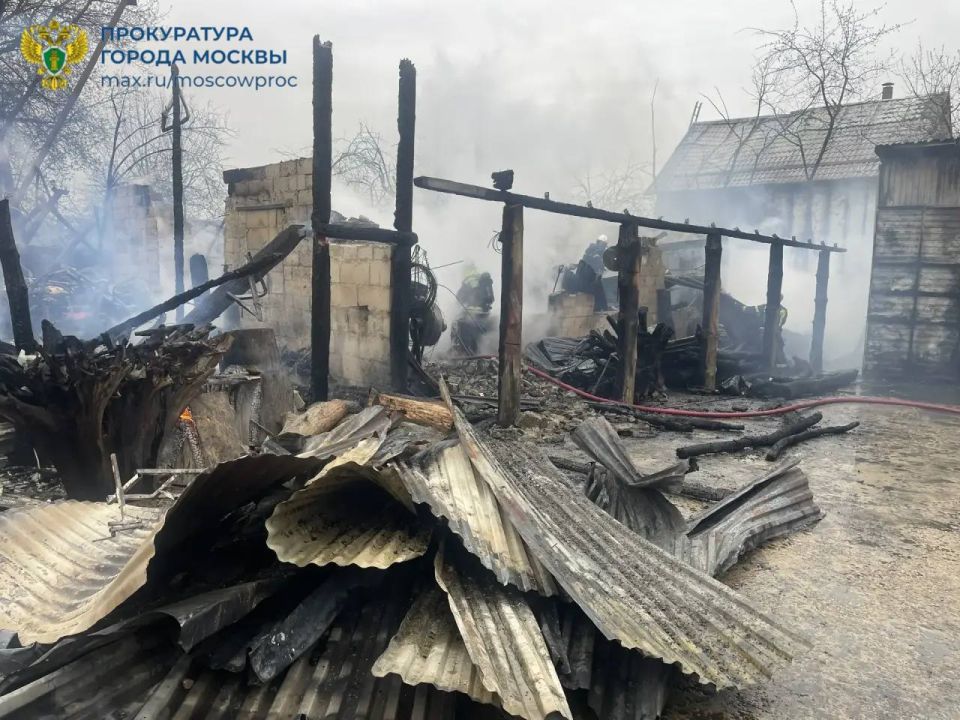 � ����� ������ ������� ���������� ����-��������� Ը���� ����������