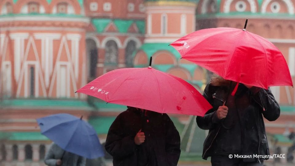 ������ � ������ � ����������� ����� ������������ ����������� �������, �������� ���� � �������������� ��