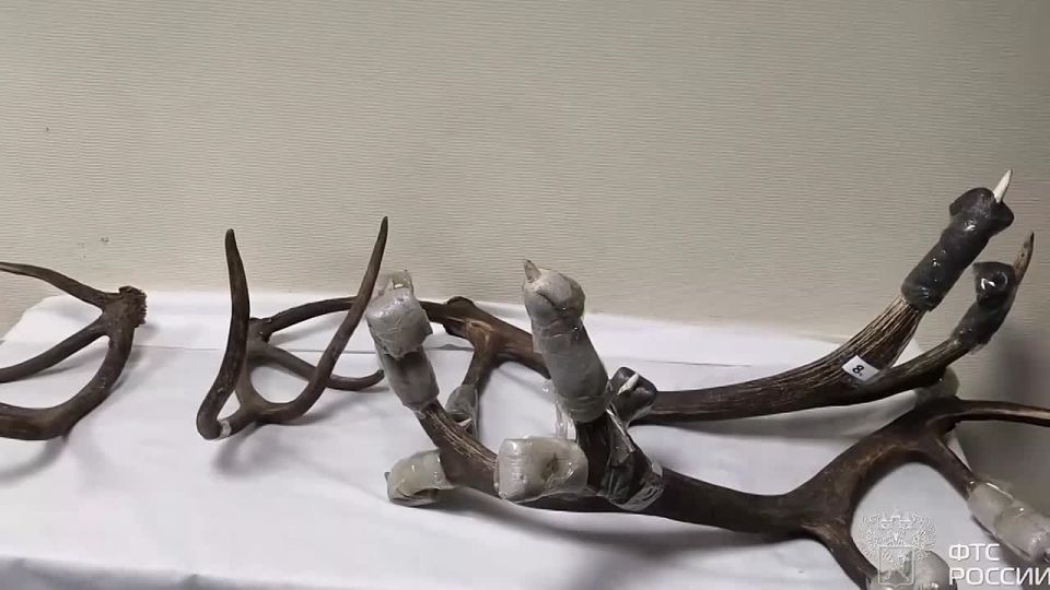 ���������� ����� ������� �� ������ 12 ������� �����, �� ������� �������