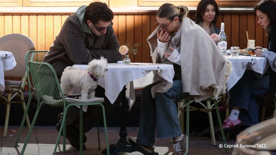 � ������ ���� ������� �������� ���������, �������� ������� ���������� ������ ��������