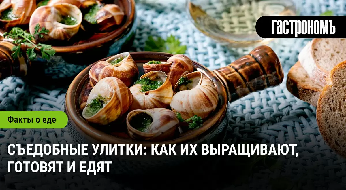 Улитки на вашем столе: как их выращивают, готовят и наслаждаются вкусом