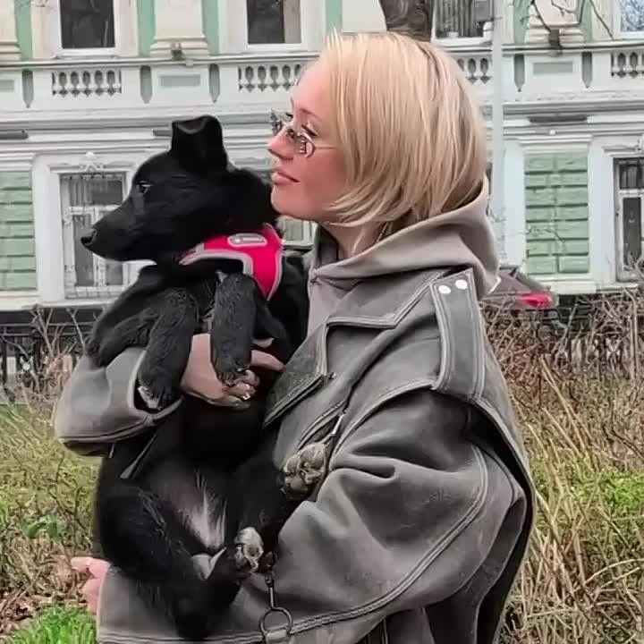 ������������ ����������� � ������������ ���� �������� ������ ����� ����