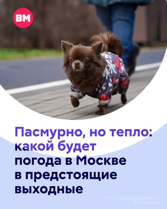 ���� ������ ����� ����� ��������� ��� �� �������� ������������� �������: ������� ������ ������, ����� ����� �������� �������