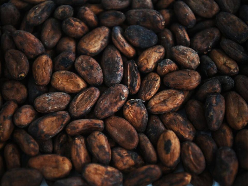 ���� �� �����-���� ������ �� ������������� ��������