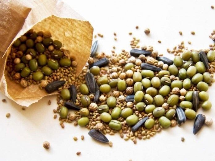 ��� ������ ������� ��������: ����� ������� ������ � �������