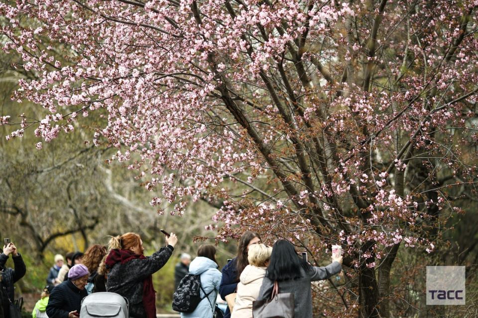 � "����������� �������" �������� �������� ������ � ��������