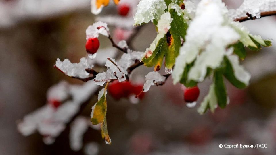 ������ ��������� � ������ ���� ����� ��������� � ������ � ����������� � ����� ������, �������� ���� � ��������������