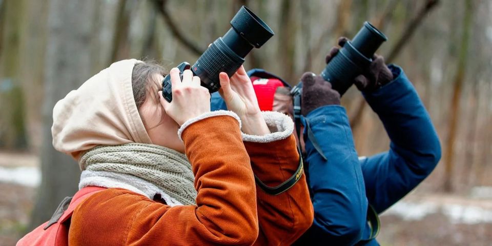 �������� ���� ����� ������� �� ���������� ����������� ������� 18 ������