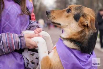 ����������� "���������� � ������������ ����" �������� �� �������� ��������, ��� �������� �� ��������� ������� �������� ����� ����� ���