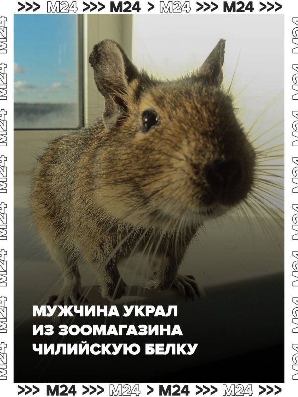 ������� ����� ��������� ����� �� ����������� � ������� ��������