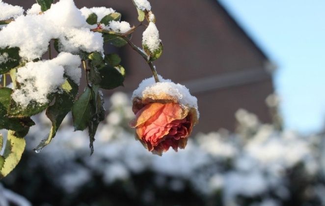 ��� �������� ���� �� ������ ����: ������ �� ����� � �������