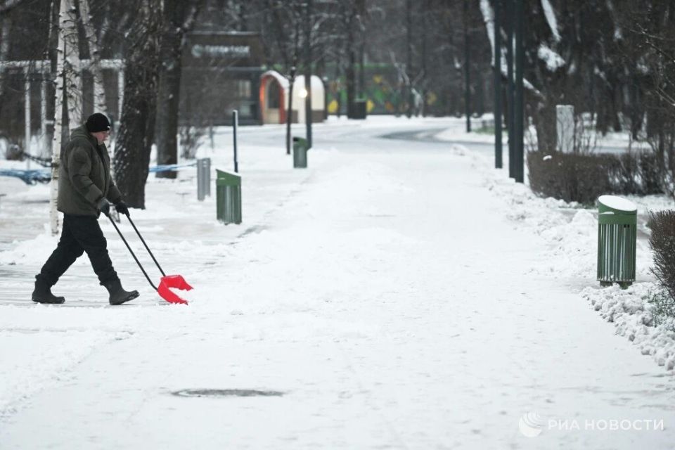 ���� ������ � ������ � �����������