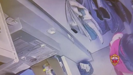 В Москве рецидивист стащил из зоомагазина чилийскую белку и спрятал её за пазуху