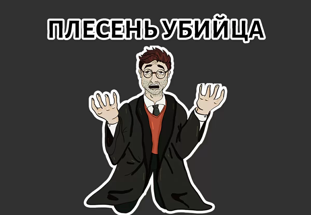 Плесень в доме: почему стоит обратить на это внимание прямо сейчас