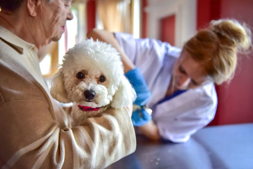 ����� � ������ �� ��������� ������� ���� ��� �� �������� ��������