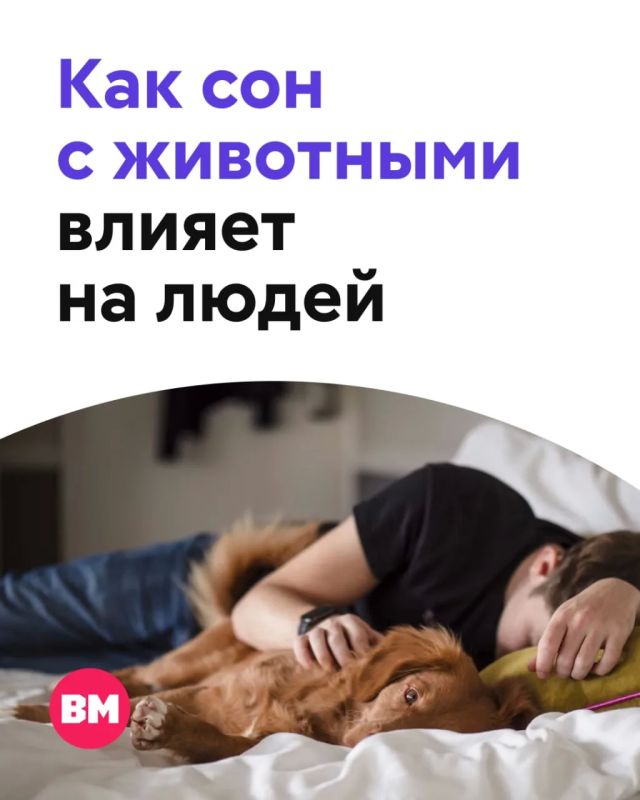 �������� ����������� ������������, ����� �������� ���������� �������� �������� ����� ������� �� ������ ���������