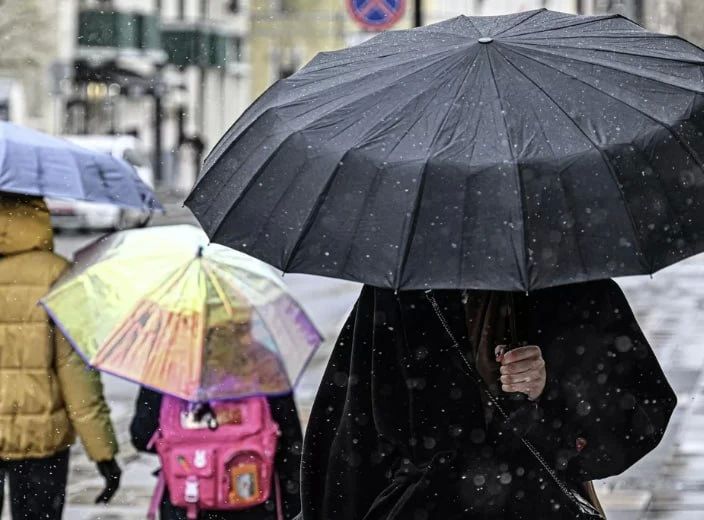 ����������, ���� � ������� ����� � �������� �� 16 �/� ��������� � ������ 20 ������