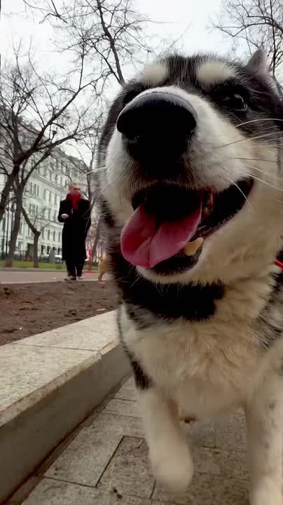 ����� � ������ ������ ������� � �������� ���� ��� �� �������� ��������! ���� ���������� �� ��������� ������� ���������� ���� ����� � ������ ����� � ������� ������