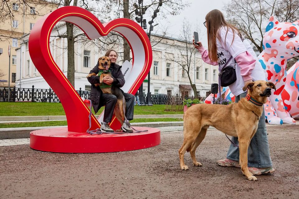 11 ����� � ����� ����� ���� ����� � ������ ���� ������� ����������� � ������������ ���� �� �������� ��������