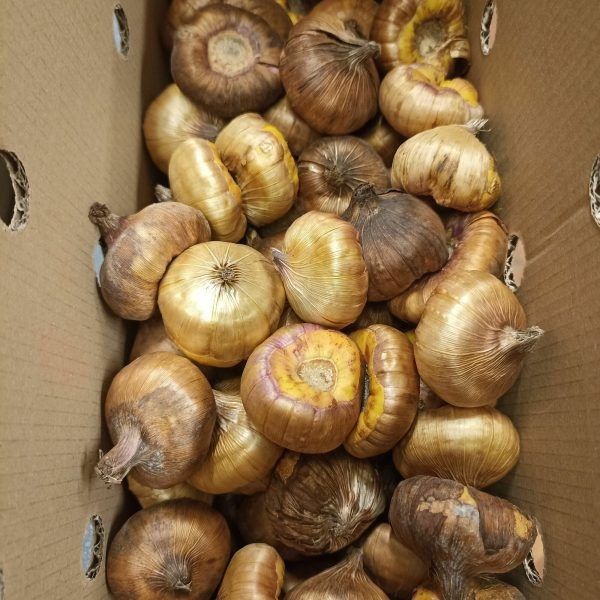 ����� � ����: ������� �������� ������� �����������