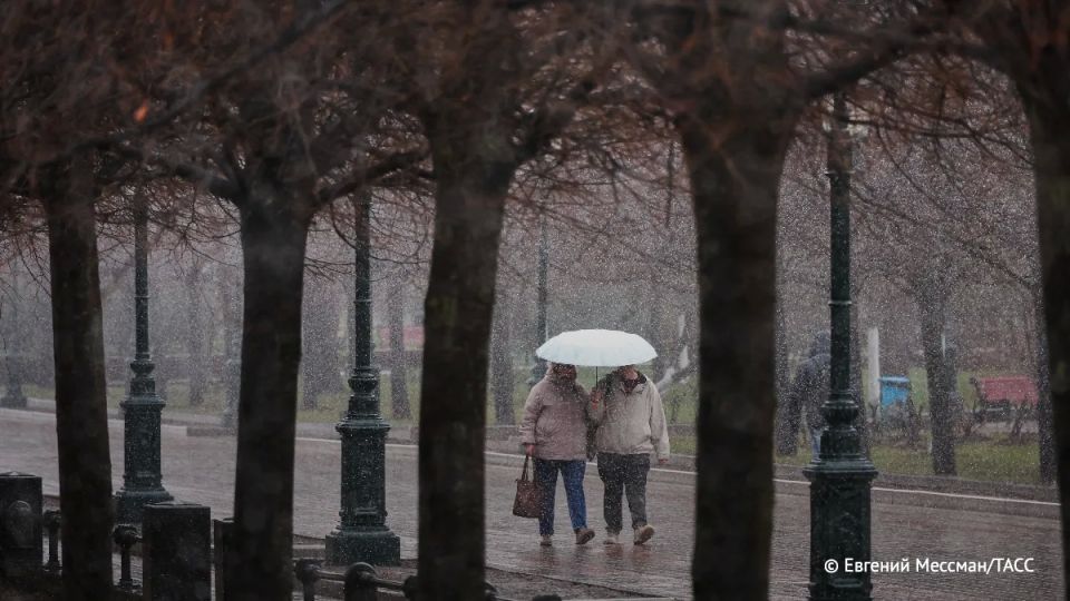 ��������� ������ ��������� � ������ � ����������� � �����������, �������� ���� � �������������� ��