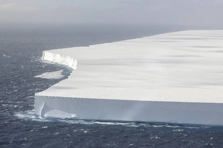 ����� ������ ������� � ���� �������