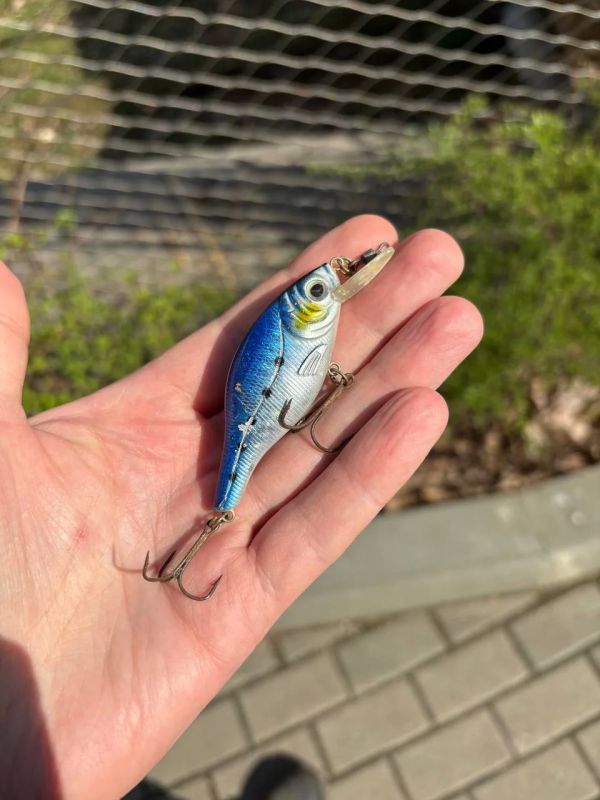 � ������ � �������� � ���������� �������� ���������� ������, �������� ����������� ���������� �������� �������