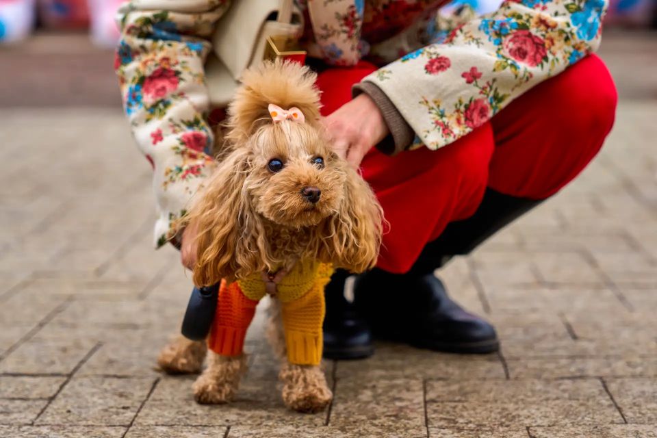 ����� �����, �������� � �������� ����� ��������� ��������� �� �������� ��������