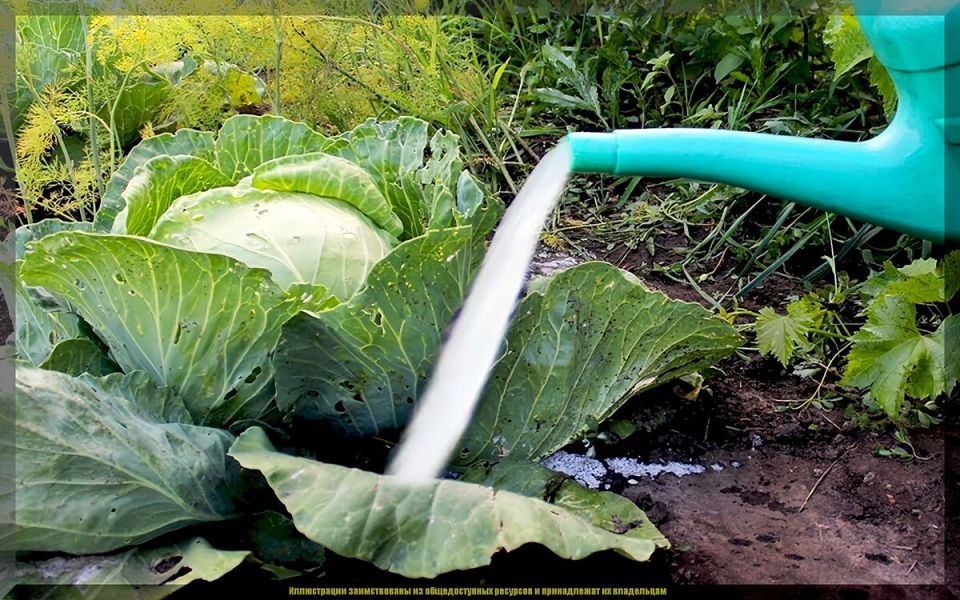 ��������� ��������� ������� � ��������: ������� �������� � ��������