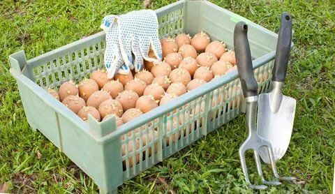 ��� ���������� �������� ��������� �� ������������ ��� �������