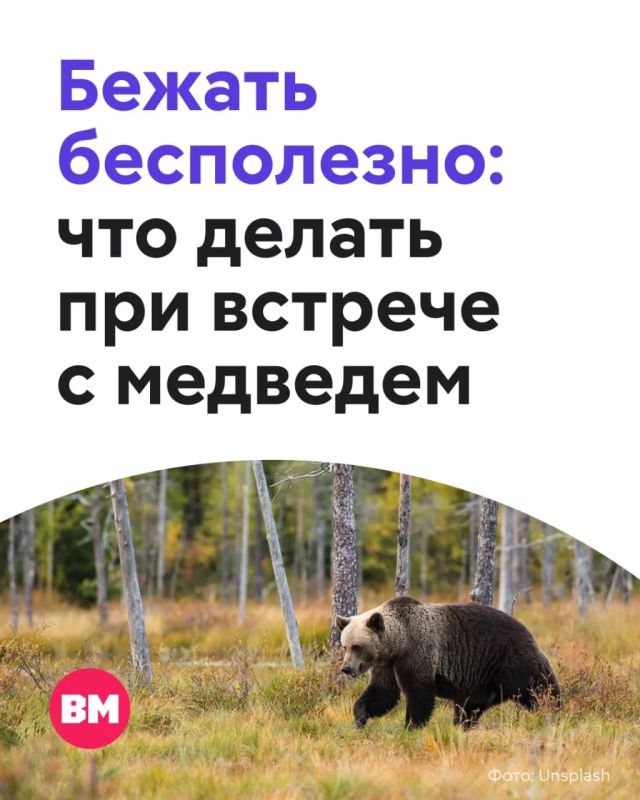 ������� ������� � ����� � �����������