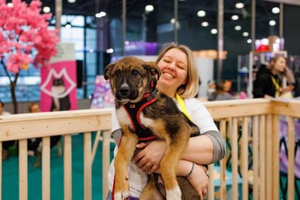 � ������ ��������� ��� ���������� ������� �� ����������������� ����������� � ������ ����� � �����, � ��������