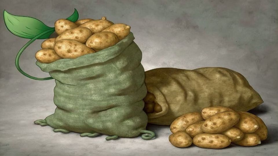 ��� ��������� �������� � ������ ������: ����������� ������ �� ��������