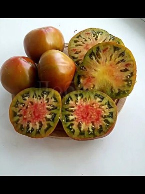 ����� �������� �����: ������� ������ � ������� ����������