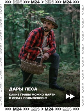 ����� �������� ������ ���������� ���������