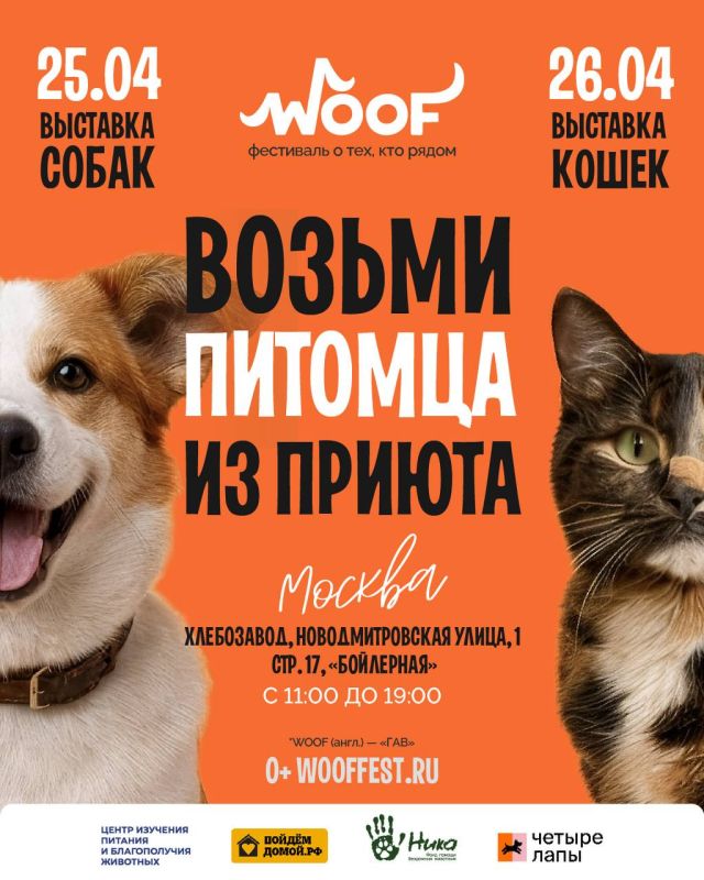 ������, � ������, ����� ��������� WOOF