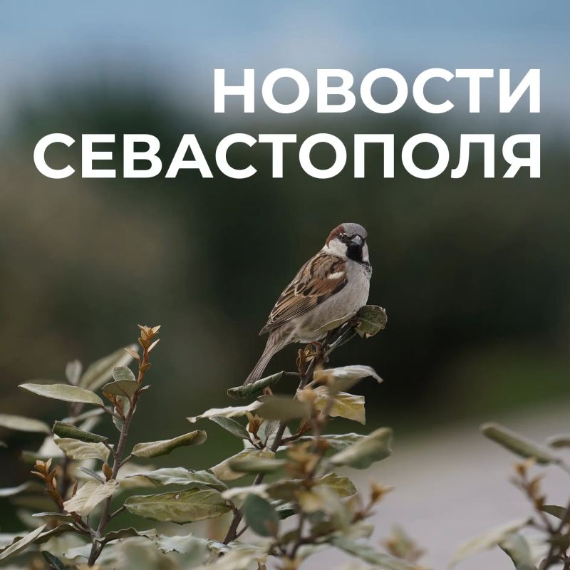 ������ ���������: ������� � �������:. ���� ������� �������� ����� ���