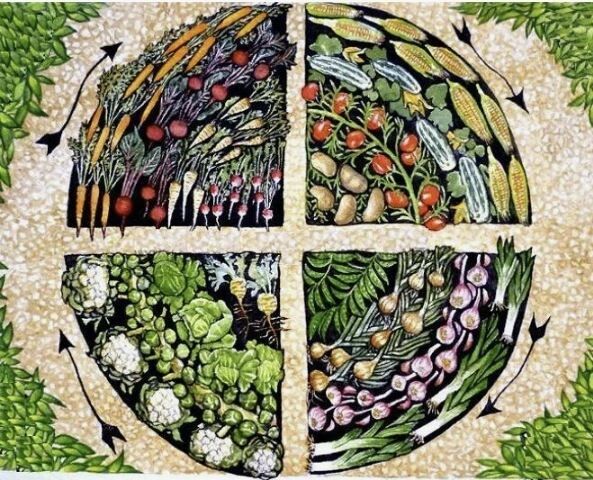 ������� ��������� ����������� �� ����� �������