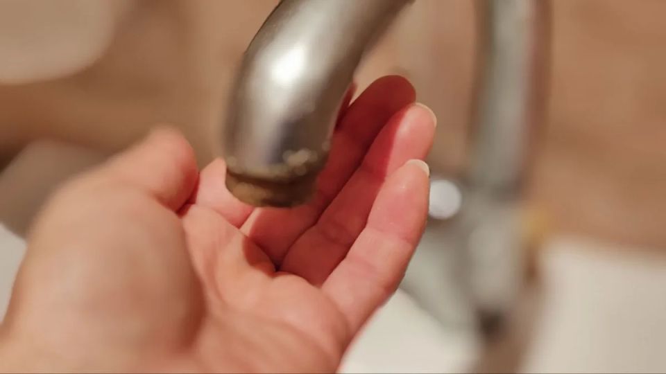 � ������ ����������� ���������� ���� 19 ������