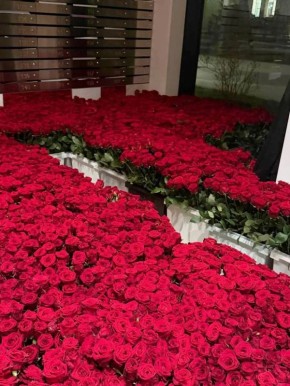 ��� ��� ������ ���������: ��������� ����������� 20 000 ��� �� 70 ��� ������