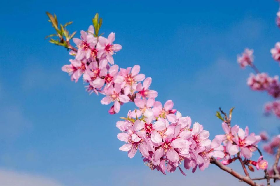 � ������ ����� �������. ��� ���� �� ����� �������� �������� ������� � � ���� �� ����� ��������