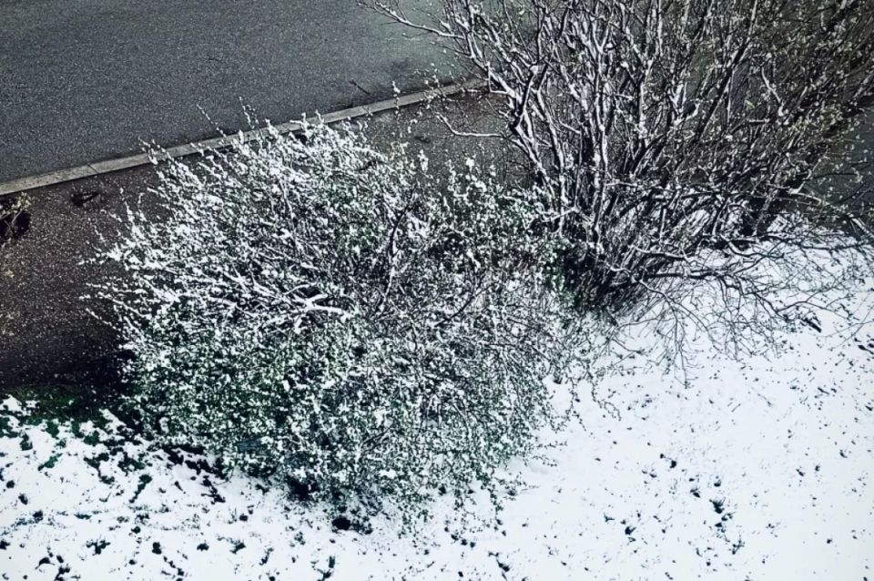 ������ ������� ��������� ����� ���������� ������� � ������� �����, ������ ���� � ������ ���������