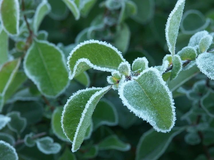 ���� � ��������� �� -3 ��������� � ����������� � ���� �� 20 ������