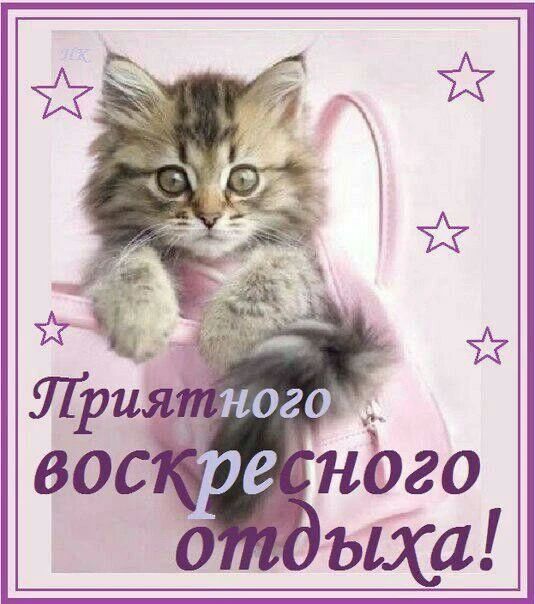 ������ ����, �������!. ����������� � ��� ���� ����, ����� ����� �� ������ � ������� �����! ������� ������ ����� � ������� ����������