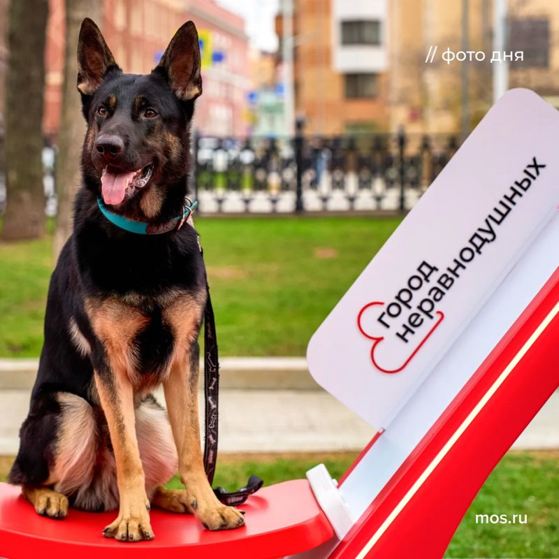 ������� ��������� ���� ������� ����������� � ������������ ����