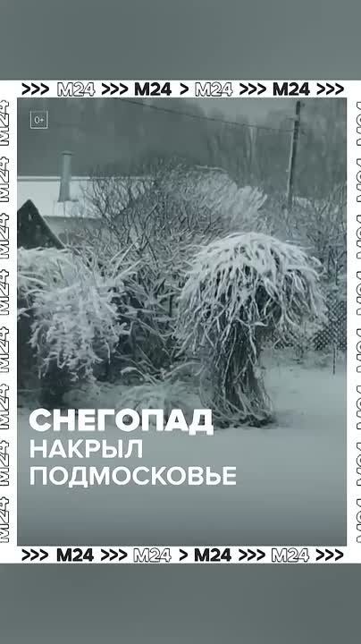 ���������: ������ �������� ������ ������� �����������