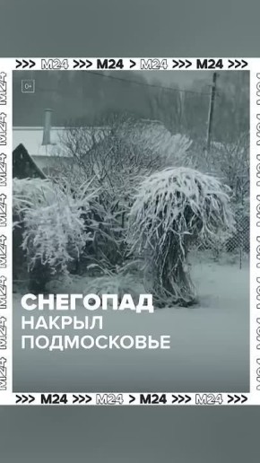 ���������: ������ �������� ������ ������� �����������